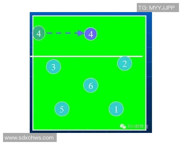 深圳排球队速度对比深度解析与战术影响探讨